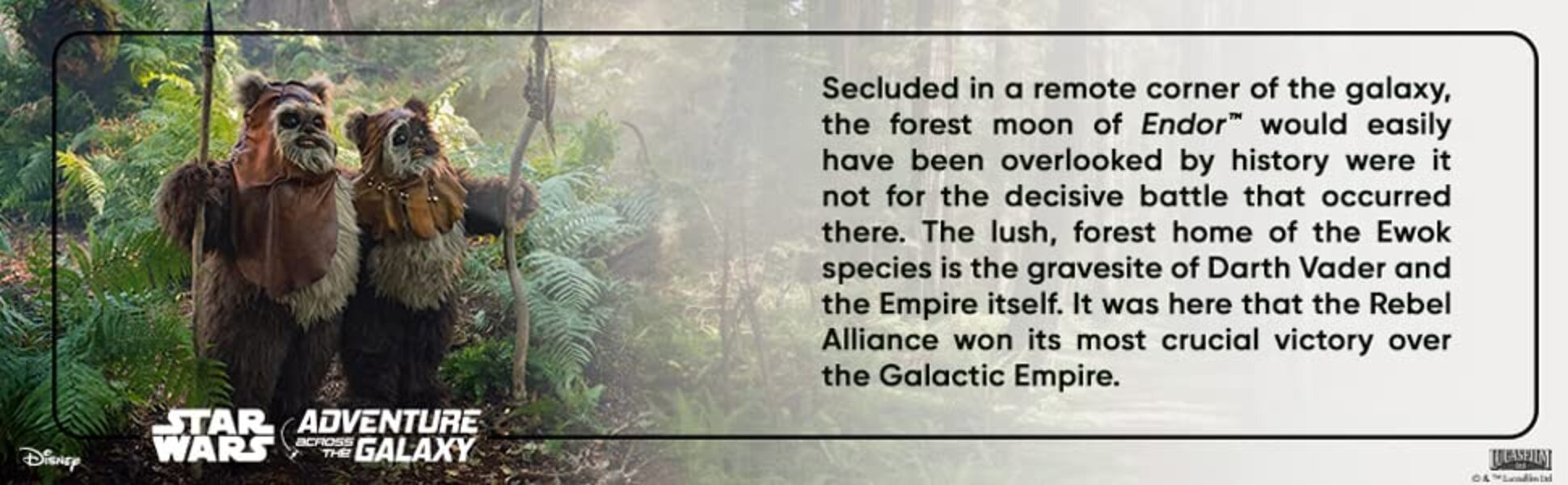 6 of 6