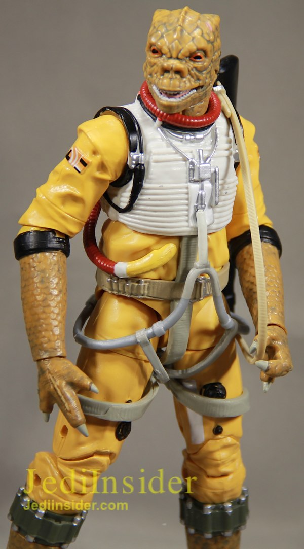 19 of 31