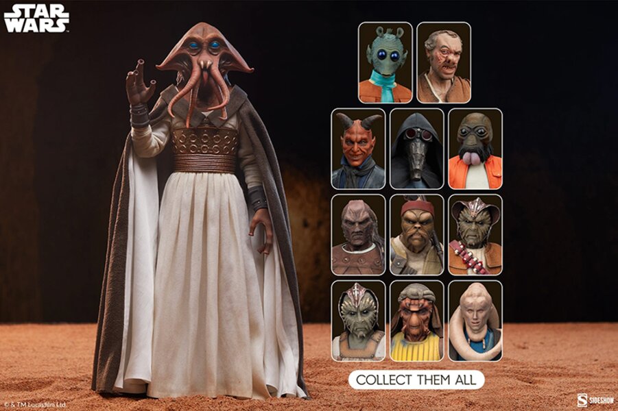 9 of 11